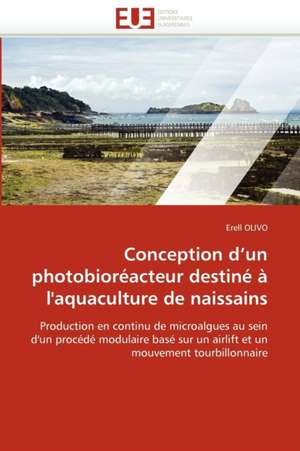 Conception D''Un Photobioreacteur Destine A L''Aquaculture de Naissains: Une Evaluation Du Modele Riskmetrics de Erell OLIVO