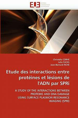 Etude des interactions entre protéines et lésions de l'ADN par SPRi de Christelle CORNE