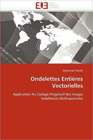 Ondelettes Entières Vectorielles de Mohamed Hamdi