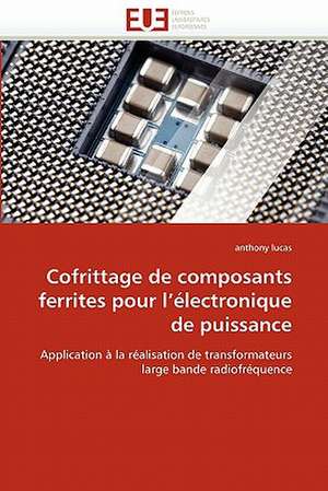 Cofrittage de composants ferrites pour l'électronique de puissance de anthony lucas