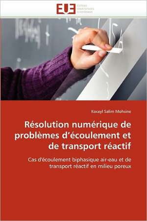 Résolution numérique de problèmes d'écoulement et de transport réactif de Koceyl Salim Mohsine