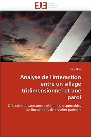 Analyse de l'interaction entre un sillage tridimensionnel et une paroi de Tony Ruiz