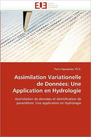 Assimilation Variationelle de Données: Une Application en Hydrologie de Ph. D. Ngnepieba