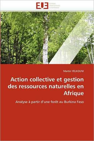 Action collective et gestion des ressources naturelles en Afrique de Martin Yelkouni