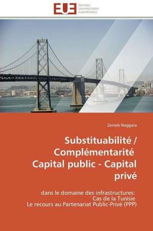 Substituabilite / Complementarite Capital Public - Capital Prive: La Gestion Du Risque de Credit de Zeineb Naggara