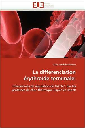 La différenciation érythroïde terminale: de Julie Vandekerckhove