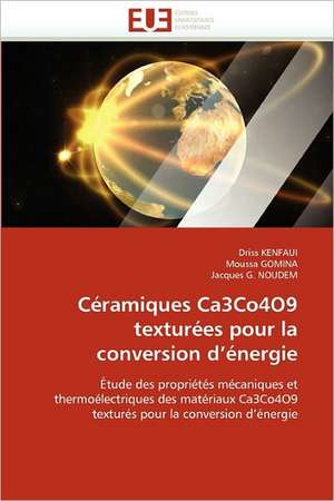 Céramiques Ca3Co4O9 texturées pour la conversion d¿énergie de Driss Kenfaui