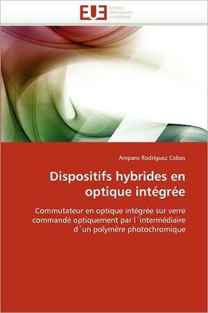 Dispositifs hybrides en optique intégrée de Amparo Rodríguez Cobos