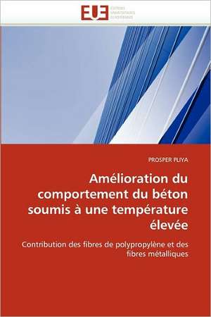 Amélioration du comportement du béton soumis à une température élevée de Prosper Pliya