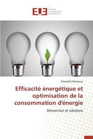 Efficacite Energetique Et Optimisation de La Consommation D'Energie: Le Cas Espagnol de Ahmed El Maataoui