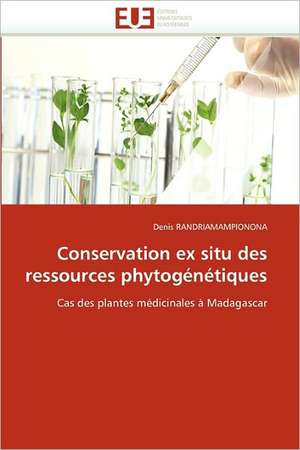 Conservation ex situ des ressources phytogénétiques de Denis Randriamampionona