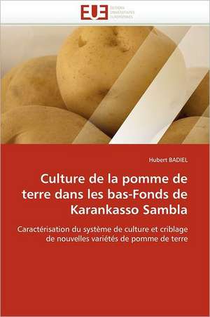 Culture de la pomme de terre dans les bas-Fonds de Karankasso Sambla de Hubert Badiel