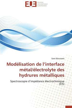 Modelisation de L'Interface Metal/Electrolyte Des Hydrures Metalliques: Bilan Et Perspectives (2001-2008) de Sami Boussami