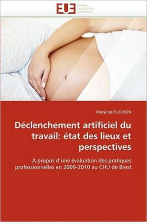 Declenchement Artificiel Du Travail: Etat Des Lieux Et Perspectives de Maryline PLUCHON