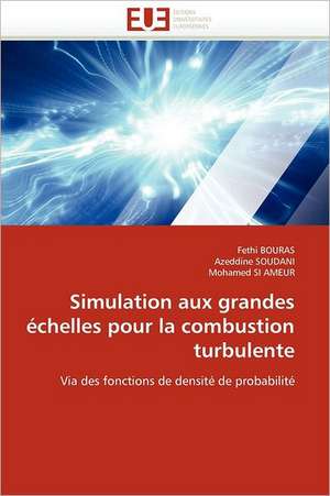 Simulation Aux Grandes Echelles Pour La Combustion Turbulente: Le Laicran de Fethi BOURAS