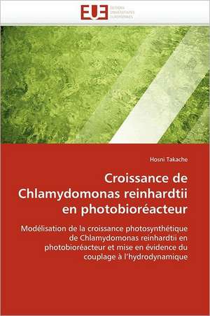 Croissance de Chlamydomonas reinhardtii en photobioréacteur de Hosni Takache