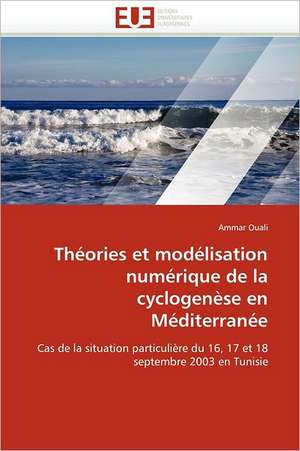 Théories et modélisation numérique de la cyclogenèse en Méditerranée de Ammar Ouali