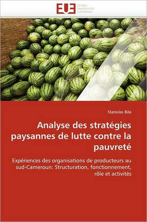 Analyse des stratégies paysannes de lutte contre la pauvreté de Stanislas Bila