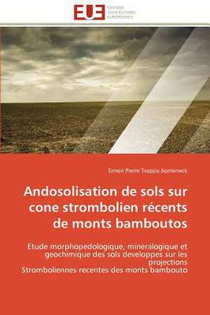 Andosolisation de Sols Sur Cone Strombolien Recents de Monts Bamboutos