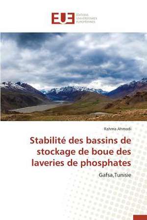 Stabilite Des Bassins de Stockage de Boue Des Laveries de Phosphates: Culture Et Tourisme de Rahma Ahmadi