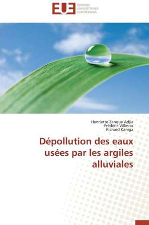 Depollution Des Eaux Usees Par Les Argiles Alluviales: Quel Potentiel? de Henriette Zangue Adjia