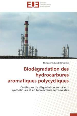 Biodegradation Des Hydrocarbures Aromatiques Polycycliques: L'Interet Des Supports Visuels de Philippe Thibaud Demarche