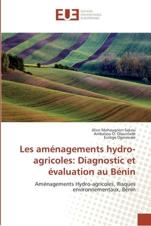 Les aménagements hydro-agricoles: Diagnostic et évaluation au Bénin de Alice Mahougnon Sakou