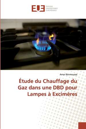 Étude du Chauffage du Gaz dans une DBD pour Lampes à Exciméres de Amar Benmoussa