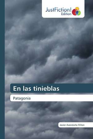 En las tinieblas de Javier Avendaño Rillon