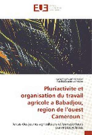 Pluriactivite et organisation du travail agricole a Babadjou, region de l¿ouest Cameroun : de Nobert Lengha Tohnain