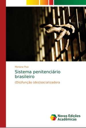 Sistema penitenciário brasileiro de Mariana Piva