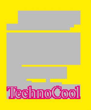 Technocool: The birth of the techno era in Hungarian art (1989-2001) de Zsolt Petrányi