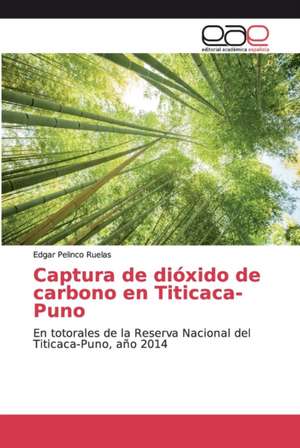 Captura de dióxido de carbono en Titicaca-Puno de Edgar Pelinco Ruelas