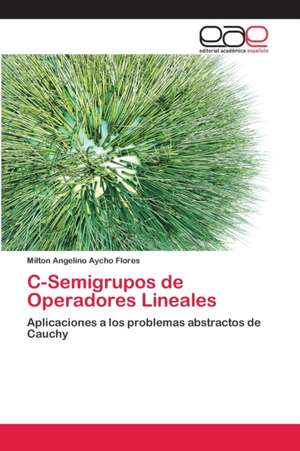 C-Semigrupos de Operadores Lineales de Milton Angelino Aycho Flores