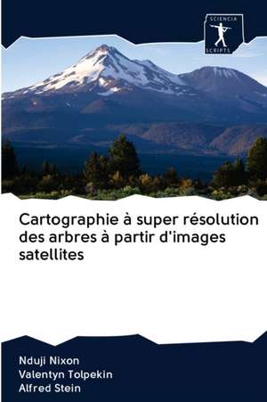 Cartographie à super résolution des arbres à partir d'images satellites de Nduji Nixon