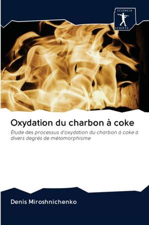 Oxydation du charbon à coke de Denis Miroshnichenko