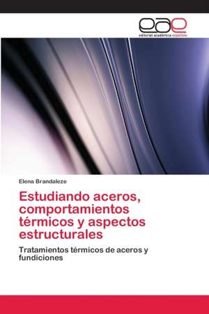 Estudiando aceros, comportamientos térmicos y aspectos estructurales de Elena Brandaleze