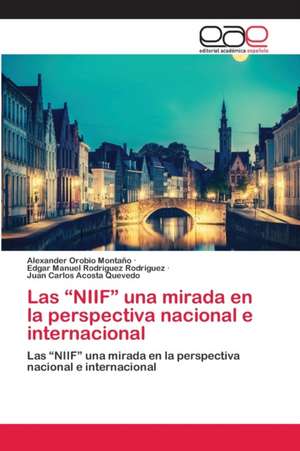 Las ¿NIIF¿ una mirada en la perspectiva nacional e internacional de Alexander Orobio Montaño