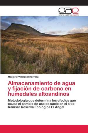 Almacenamiento de agua y fijación de carbono en humedales altoandinos de Marjorie Villarroel Herrera