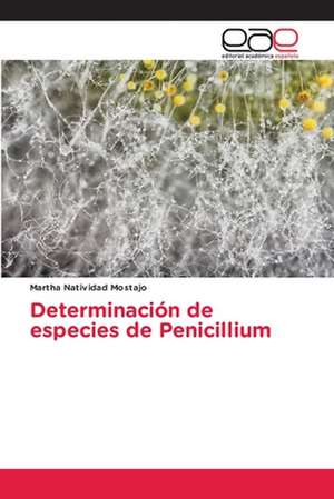 Determinación de especies de Penicillium de Martha Natividad Mostajo