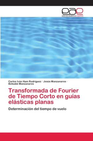 Transformada de Fourier de Tiempo Corto en guías elásticas planas de Carlos Iván Ham Rodríguez