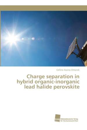 Charge separation in hybrid organic-inorganic lead halide perovskite de Celline Awino Omondi