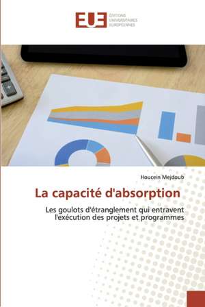 La capacité d'absorption de Houcein Mejdoub