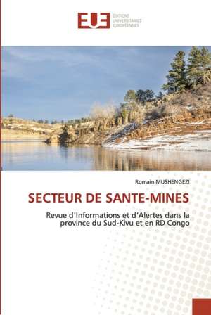 SECTEUR DE SANTE-MINES de Romain Mushengezi