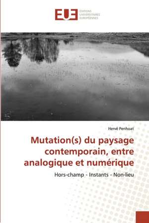 Mutation(s) du paysage contemporain, entre analogique et numérique de Hervé Penhoat