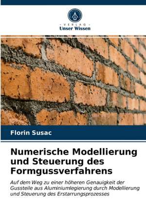 Numerische Modellierung und Steuerung des Formgussverfahrens de Florin Susac