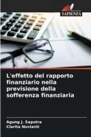 L'effetto del rapporto finanziario nella previsione della sofferenza finanziaria de Agung J. Saputra