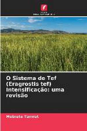 O Sistema de Tef (Eragrostis tef) Intensificação: uma revisão de Mebrate Tamrat