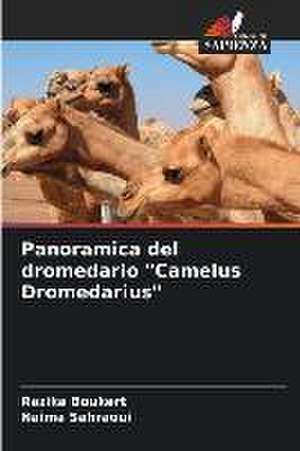 Panoramica del dromedario "Camelus Dromedarius" de Razika Boukert