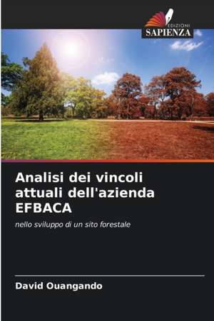 Analisi dei vincoli attuali dell'azienda EFBACA de David Ouangando